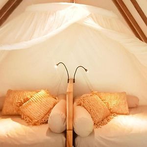 Superior King Suite